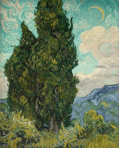 Diamond Painting Cyprysy - SEOS Shop ®