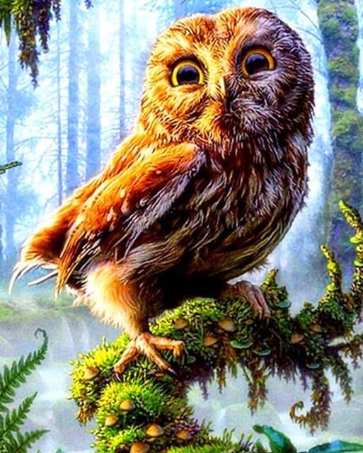 Diamond Painting Mały Sówka - SEOS Shop ®