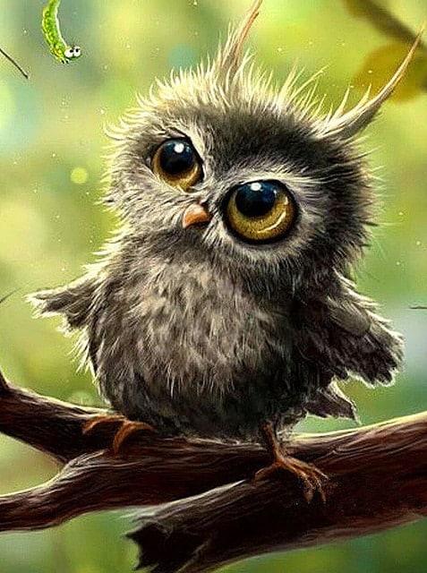 Diamond Painting Baby Sowa - SEOS Shop ®