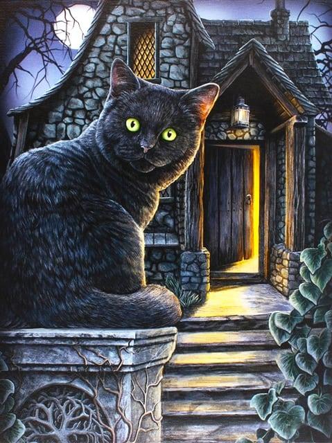 Diamond Painting Czarny kot z zielonymi oczami - SEOS Shop ®