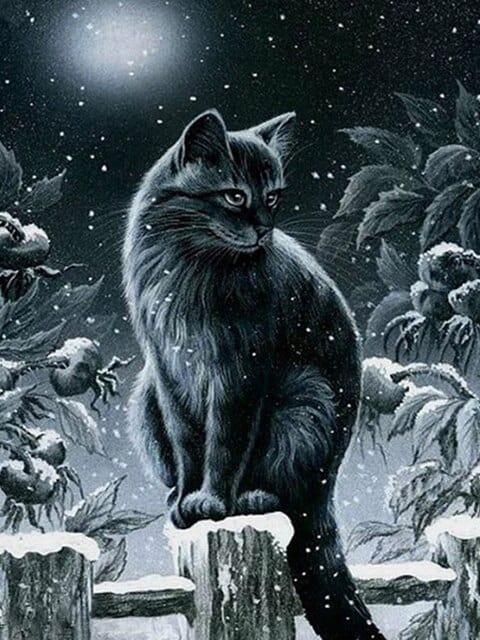 Diamond Painting Zima czarna kotka - SEOS Shop ®