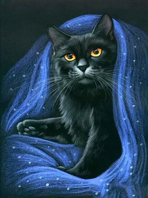 Diamond Painting Czarny Kot - SEOS Shop ®