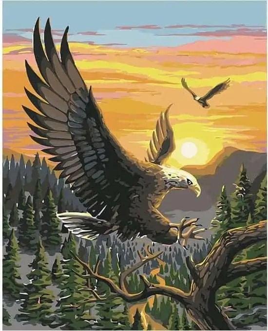Diamond Painting - Orzeł - SEOS®
