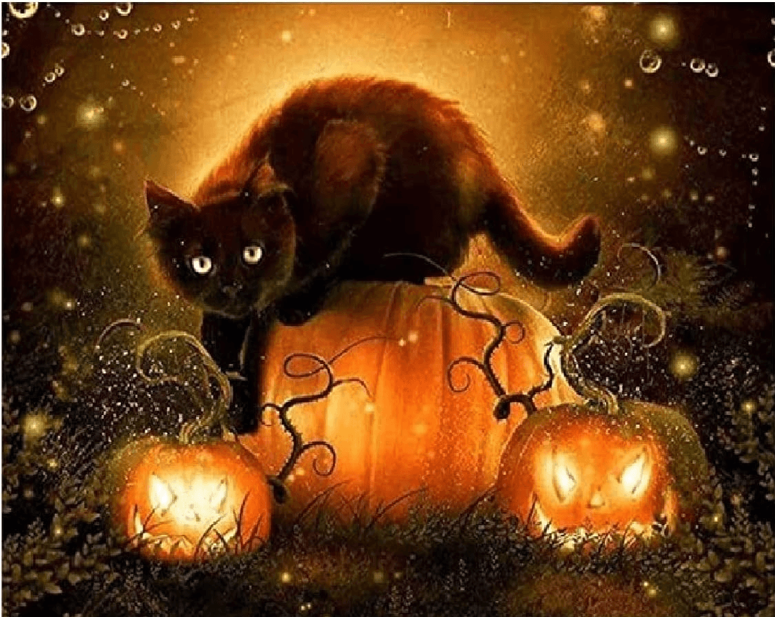 Diamond Painting Halloween Kot - SEOS Shop ®