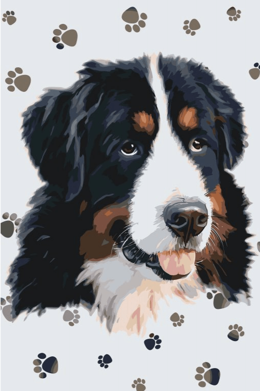 Diamond Painting - Pies z okrągłymi łapkami - SEOS®