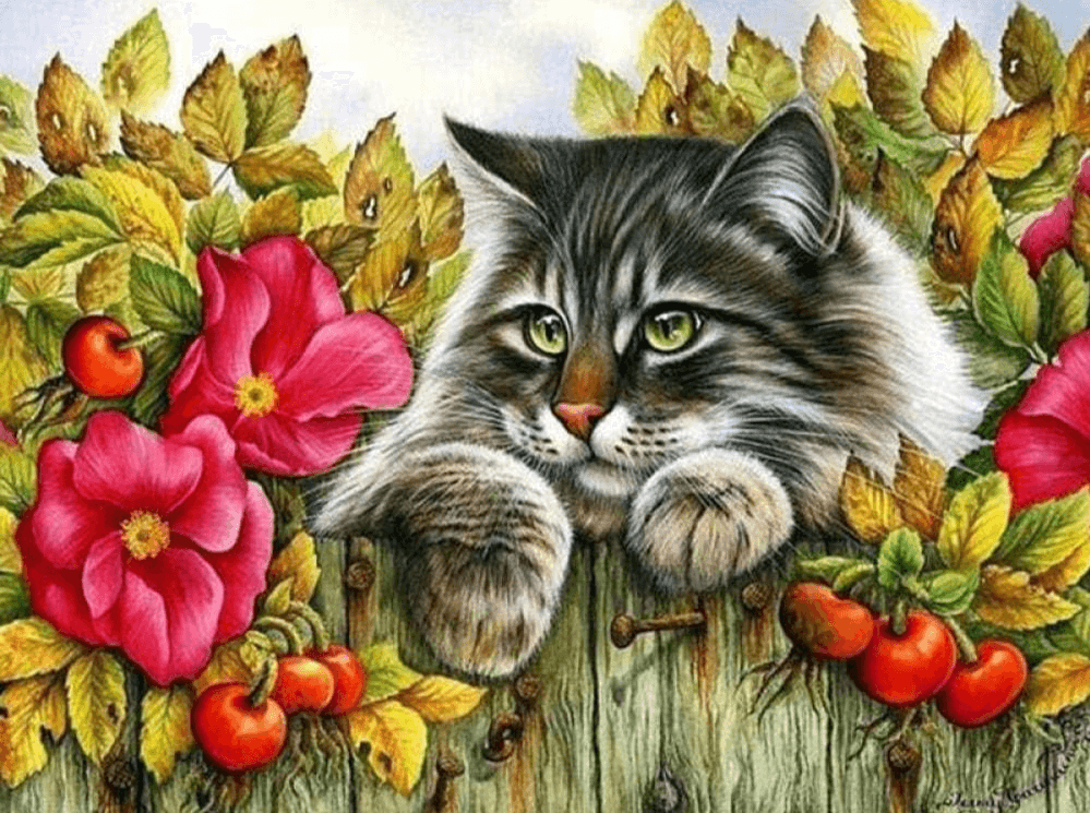 Diamond Painting Kot na płocie - SEOS Shop ®