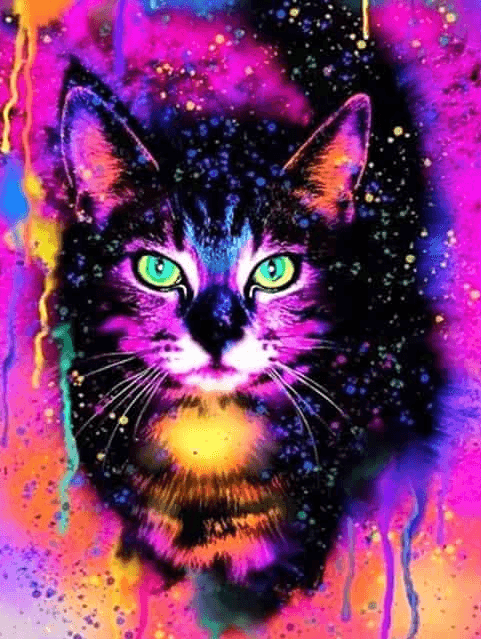 Diamond Painting Kolorowa kotka - SEOS Shop ®