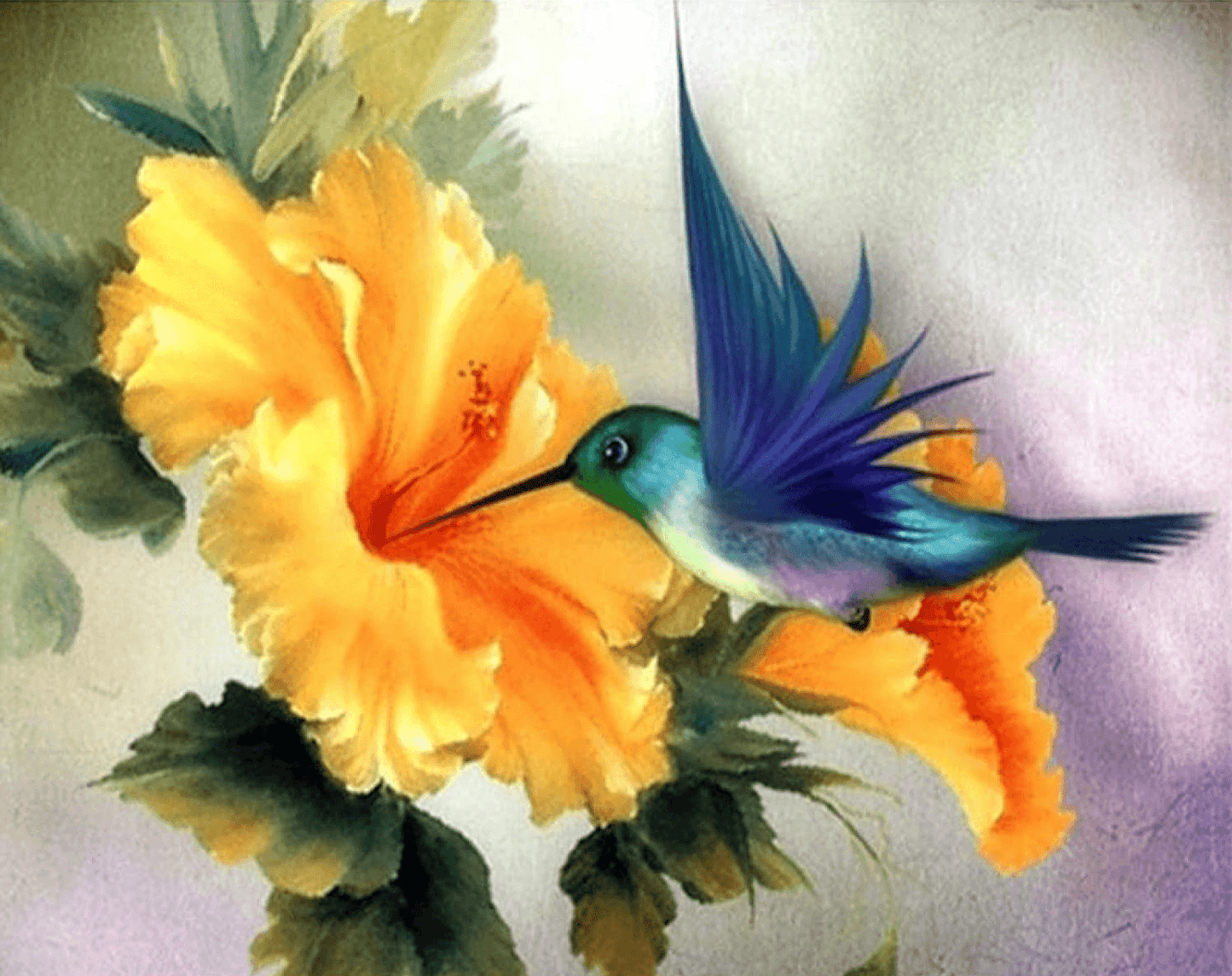 Diamond Painting Kolibrie - SEOS Sklep ®