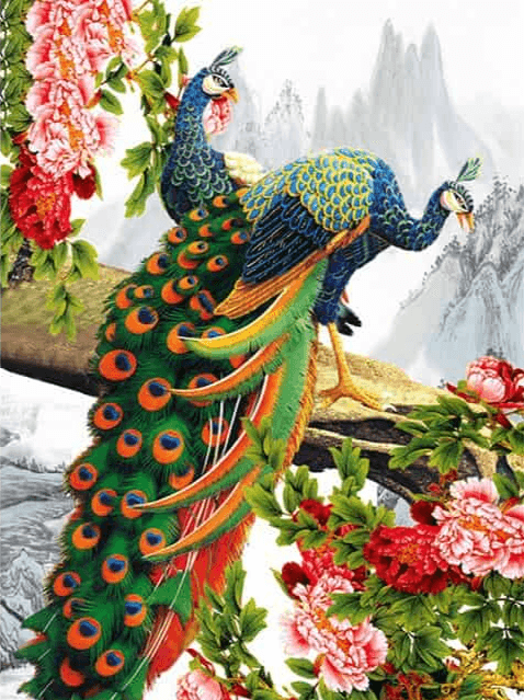 Diamond Painting Piękny paw z kwiatem - SEOS Shop ®