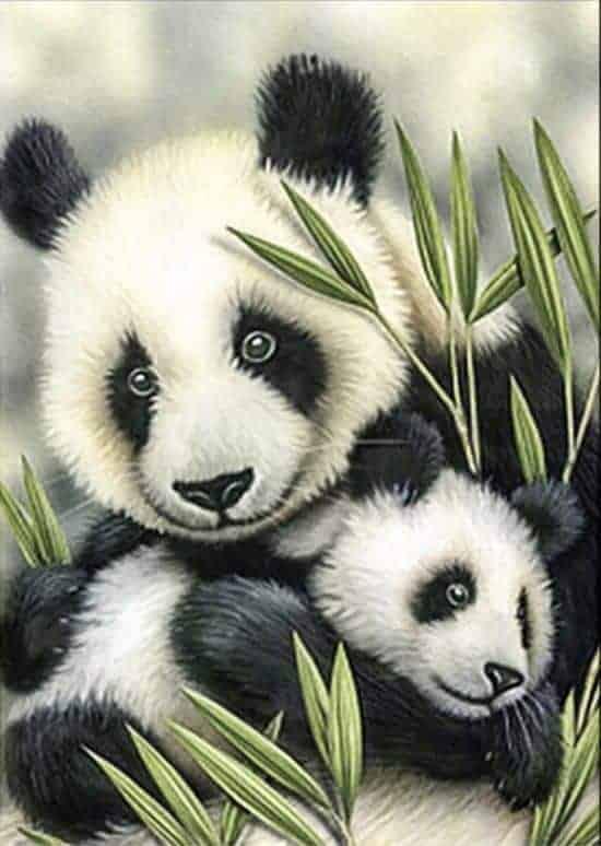 Diamond Painting Panda - SEOS Shop ®