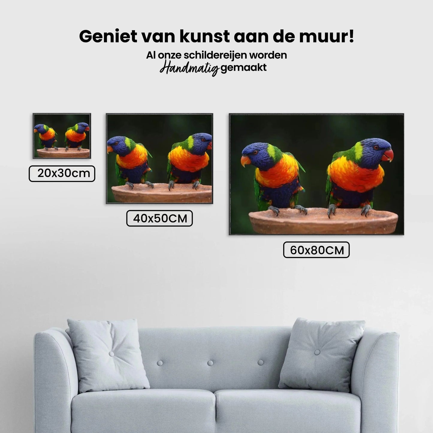 Diamond Painting Papug w - SEOS Shop ®