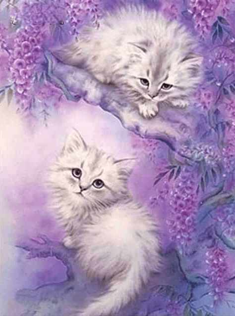 Diamond Painting Urocze Koty - SEOS Shop ®