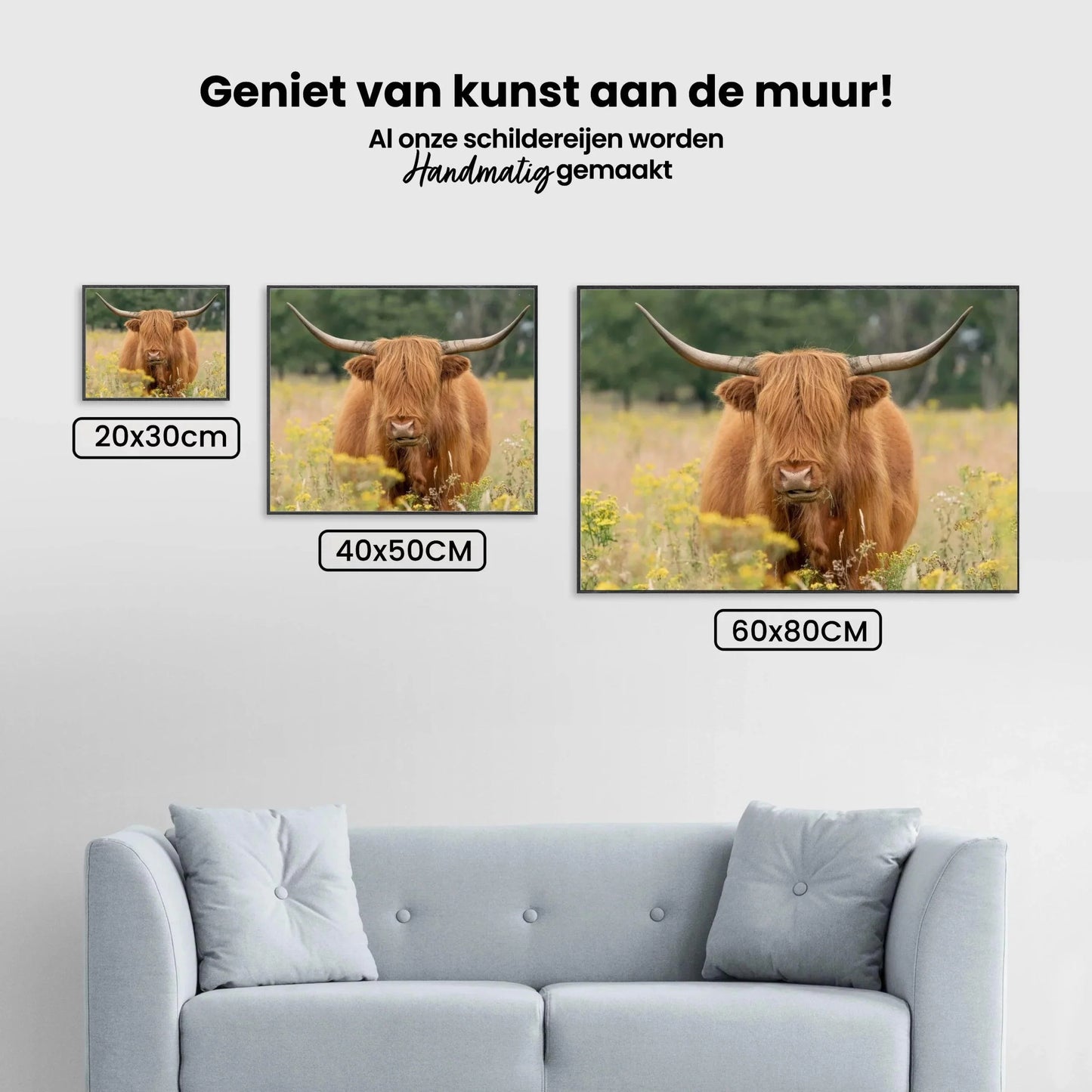 Diamond Painting Szkocki Highlander - Piękny szkocki highlander pasący się na polu - SEOS Shop ®
