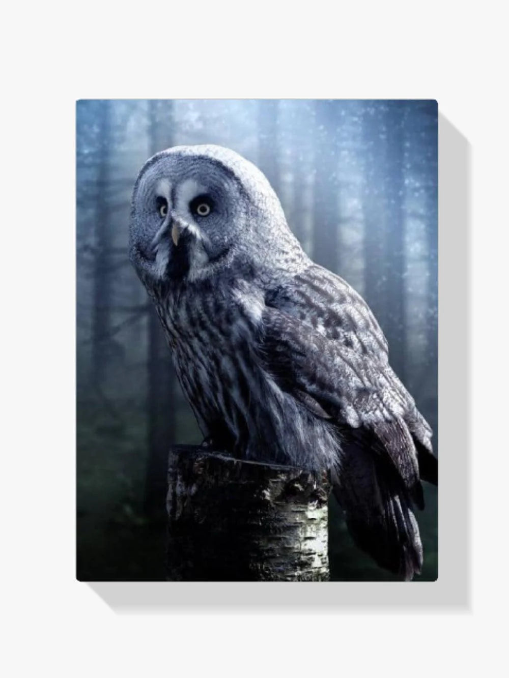 Diamond Painting Sowa na drzewie - SEOS Shop ®