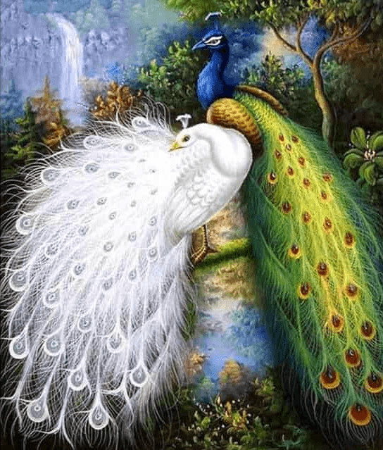 Diamond Painting Białe i niebieskie pawie - SEOS Shop ®