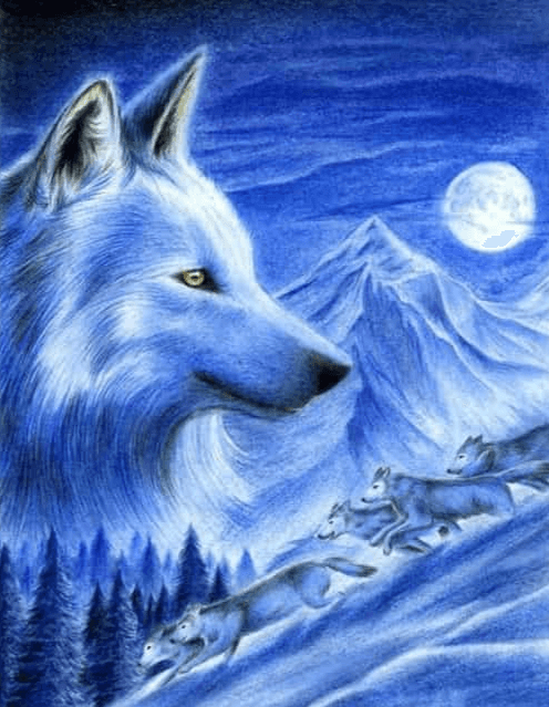 Diamond Painting Wilki w Śniegu - SEOS Shop ®