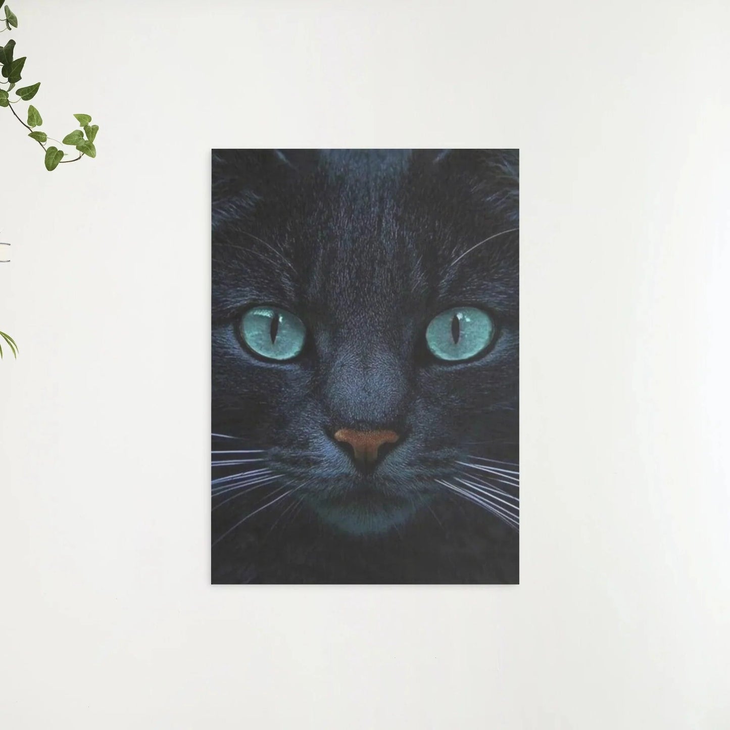 Diamond Painting Czarna kotka i niebieskie oczy - SEOS Shop ®