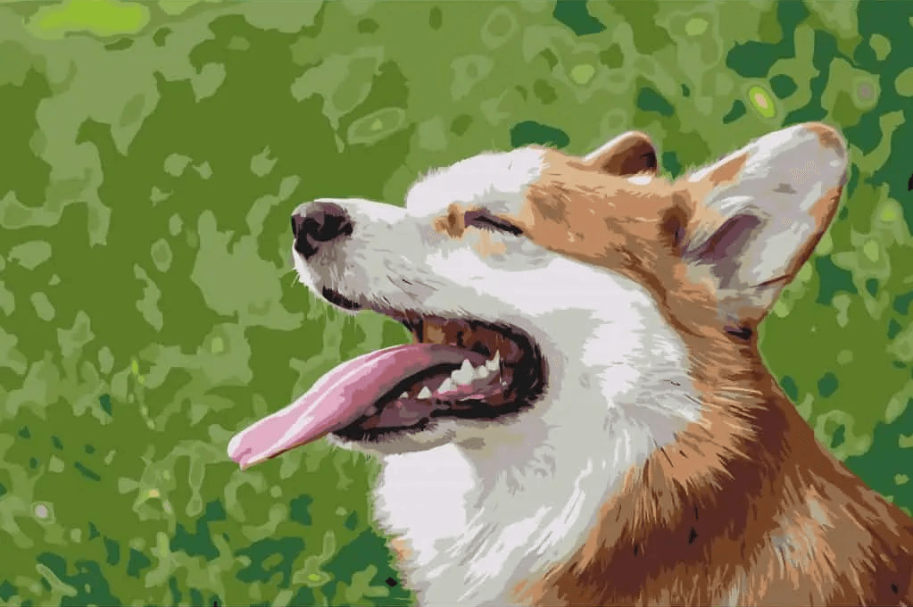 Diamond Painting - Corgi - SEOS®