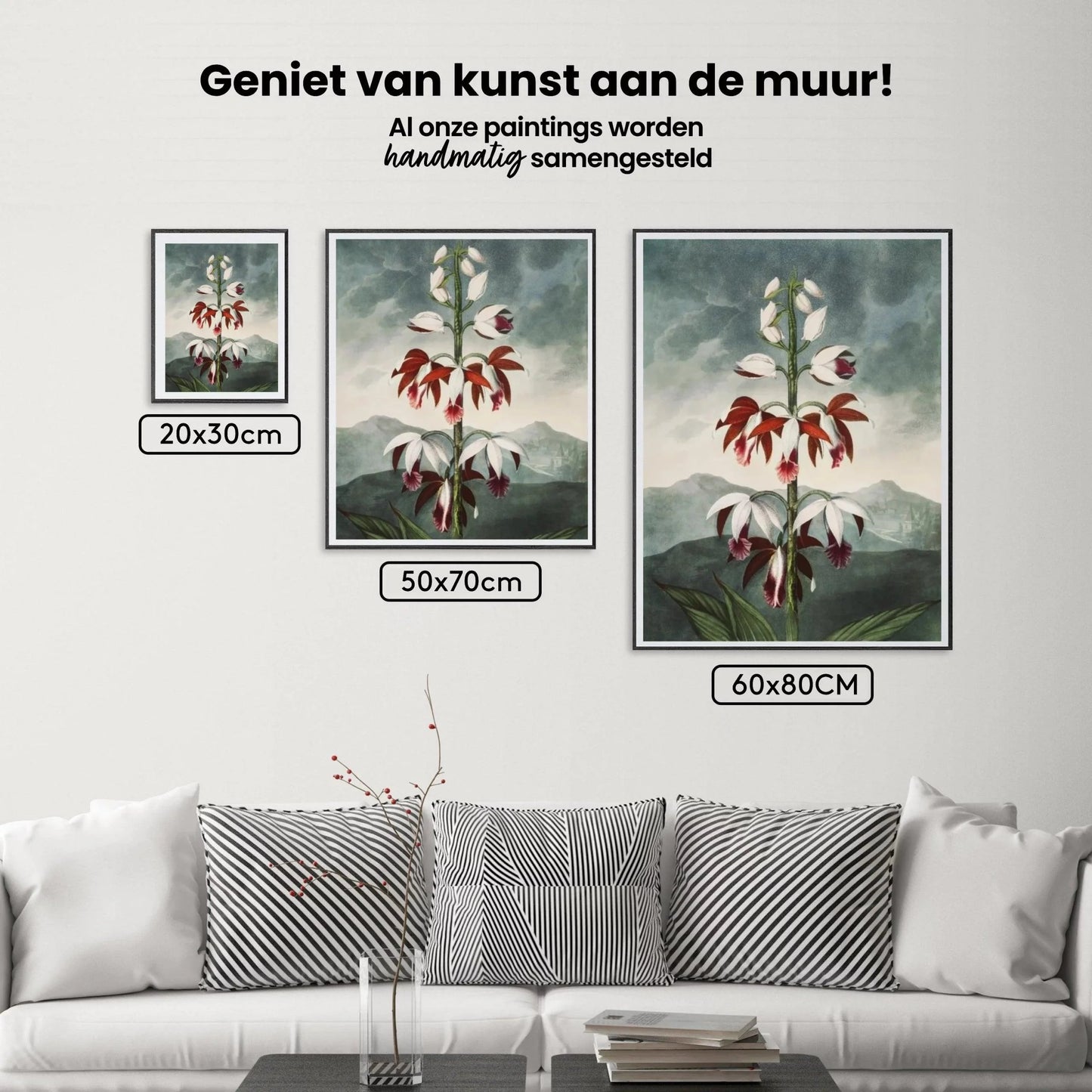 Diamond Painting - Chiński Limodoron - SEOS Shop ®