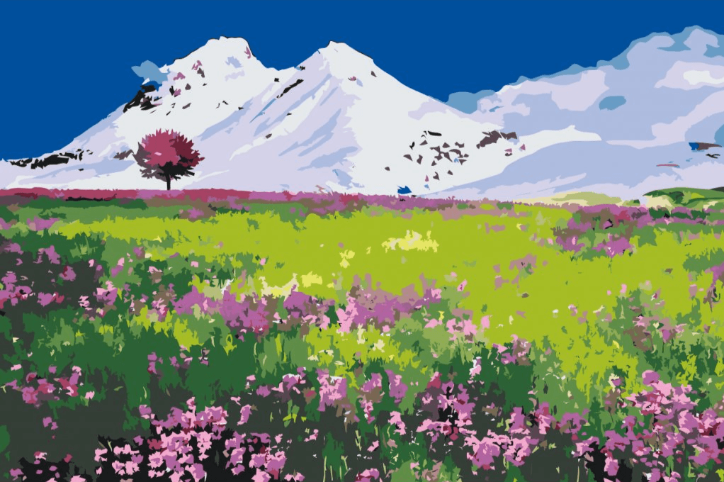 Diamond Painting - Łąka pośrodku gór - SEOS Shop ®