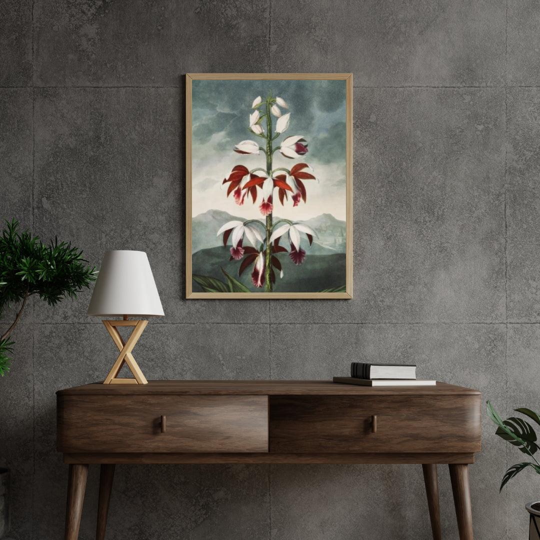 Diamond Painting - Chiński Limodoron - SEOS Shop ®