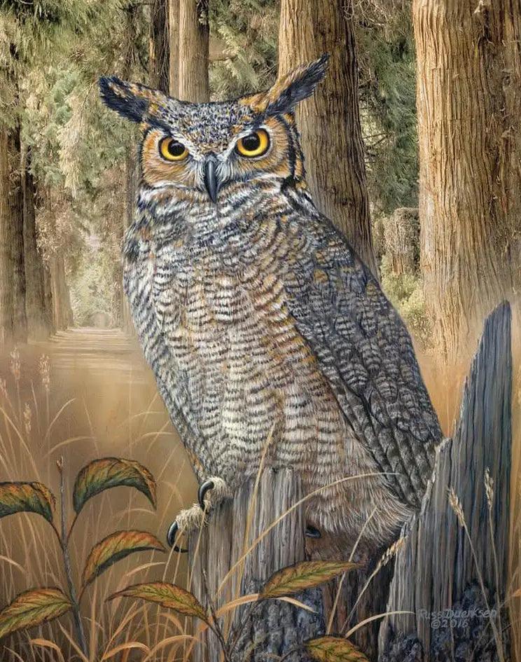 Diamond Painting - Duża Sowa z Rogami