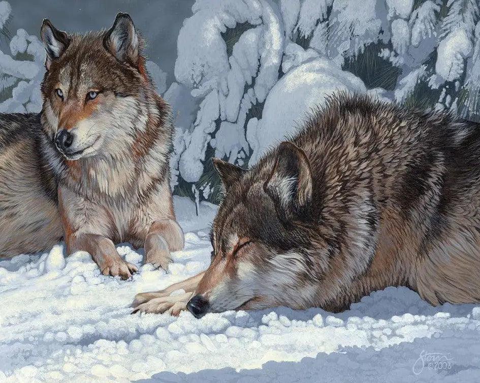 Diamond Painting - Spokojne Szarości: Faszynujący Wilk