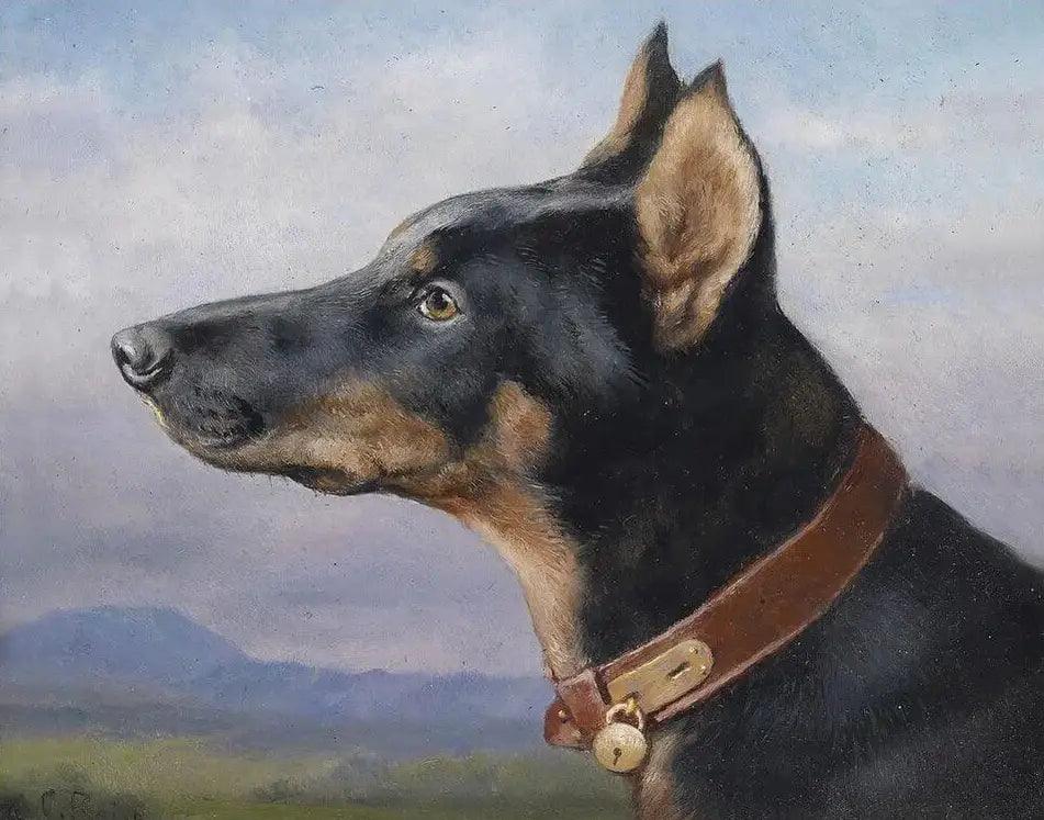 Diamond Painting - Portret Dobermana