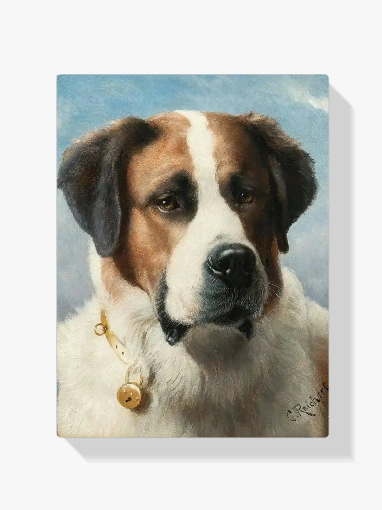 Diamond Painting - Obraz świętego Bernarda: Pies
