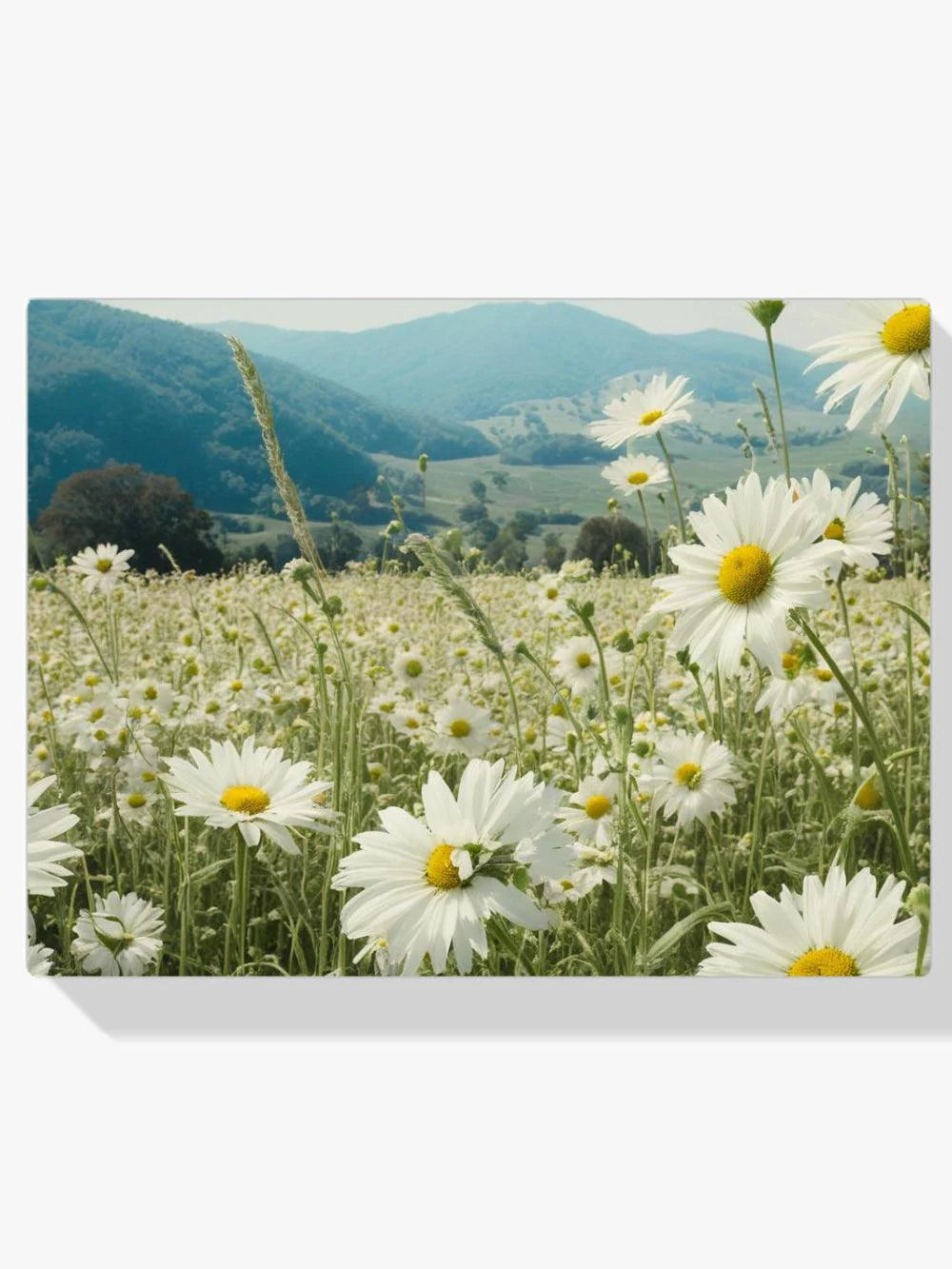 Diamond Painting Daisy kwiat - SEOS Shop ®