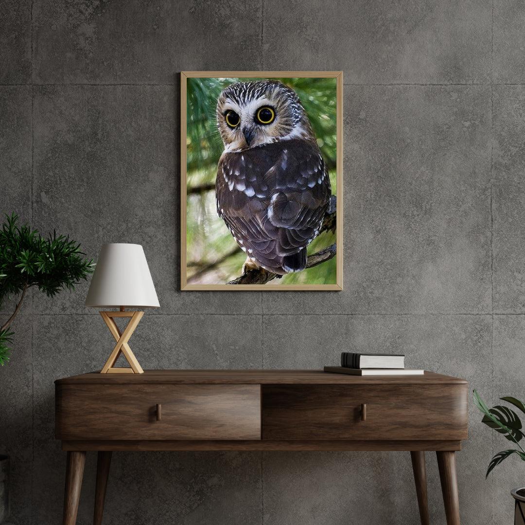 Diamond Painting Żółte Oczy Sowy - SEOS Shop ®