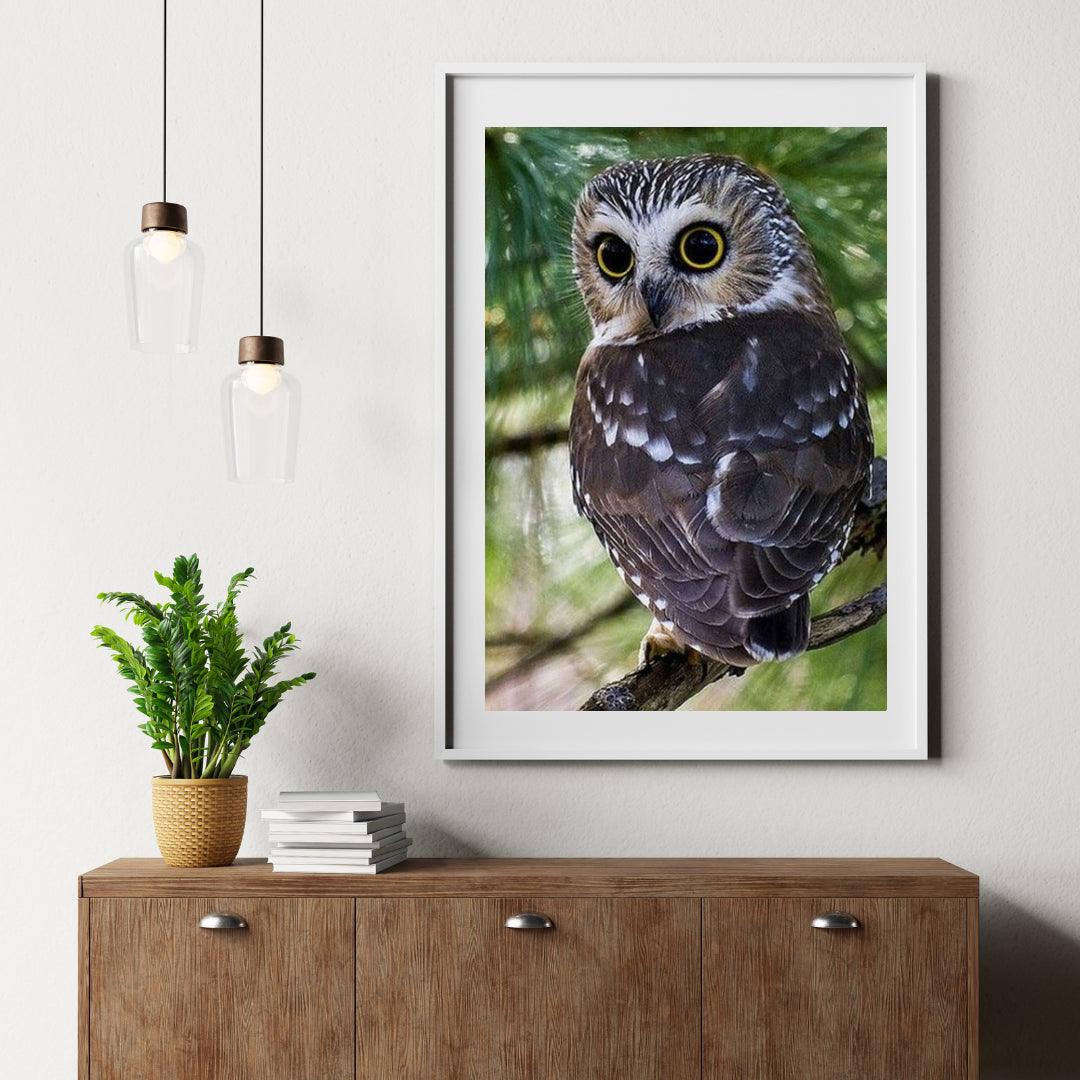 Diamond Painting Żółte Oczy Sowy - SEOS Shop ®