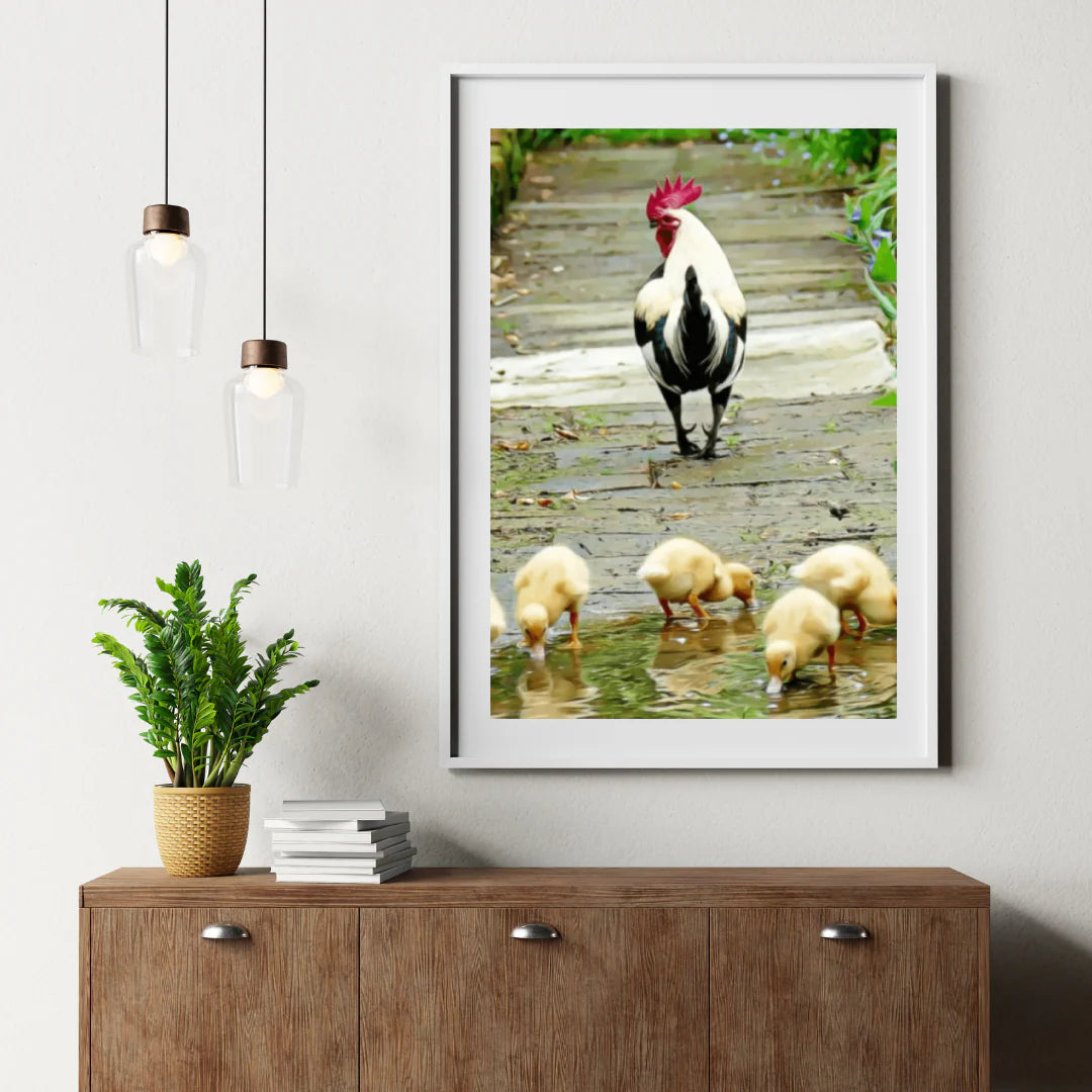 Diamond Painting Pisklęta - SEOS Shop ®