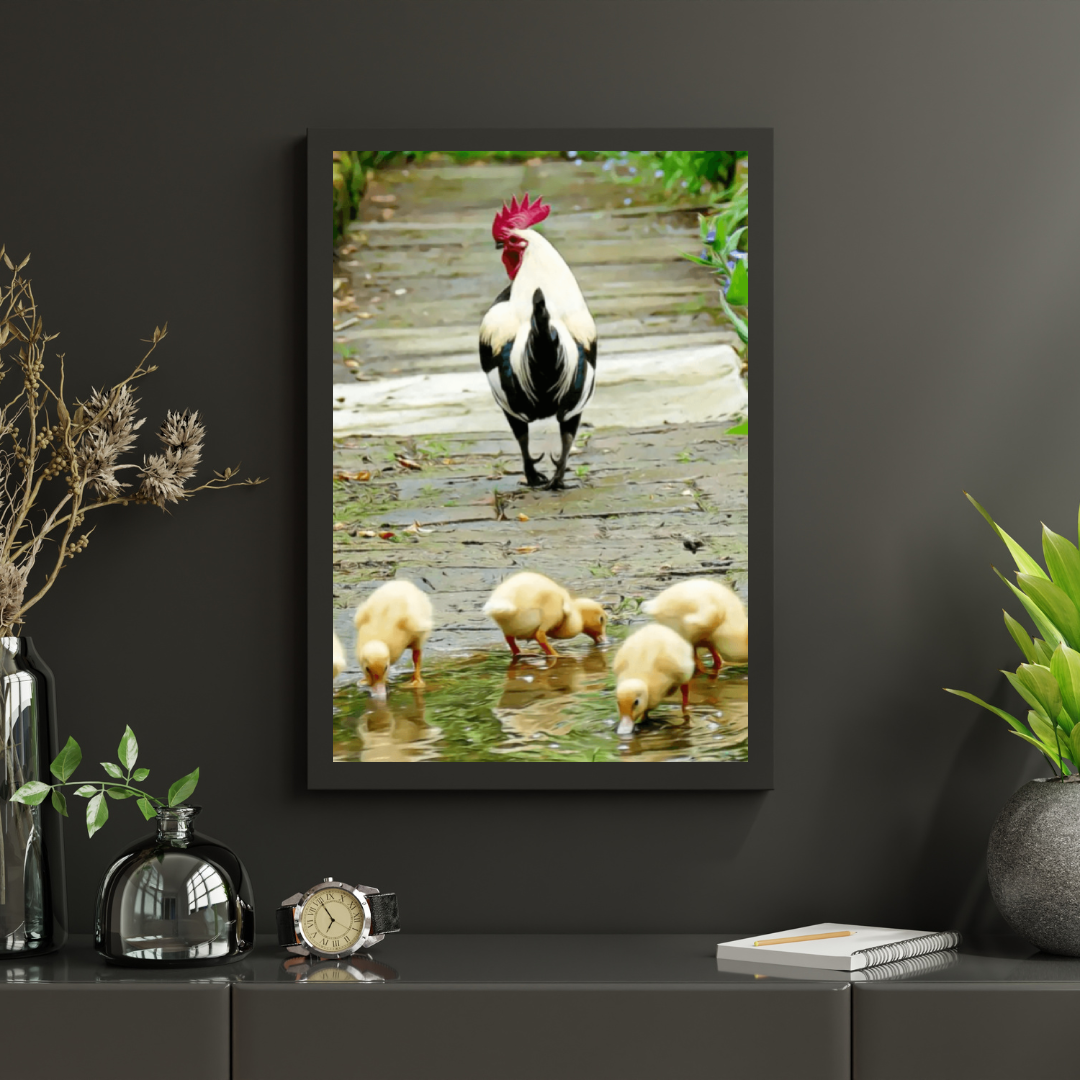 Diamond Painting Pisklęta - SEOS Shop ®