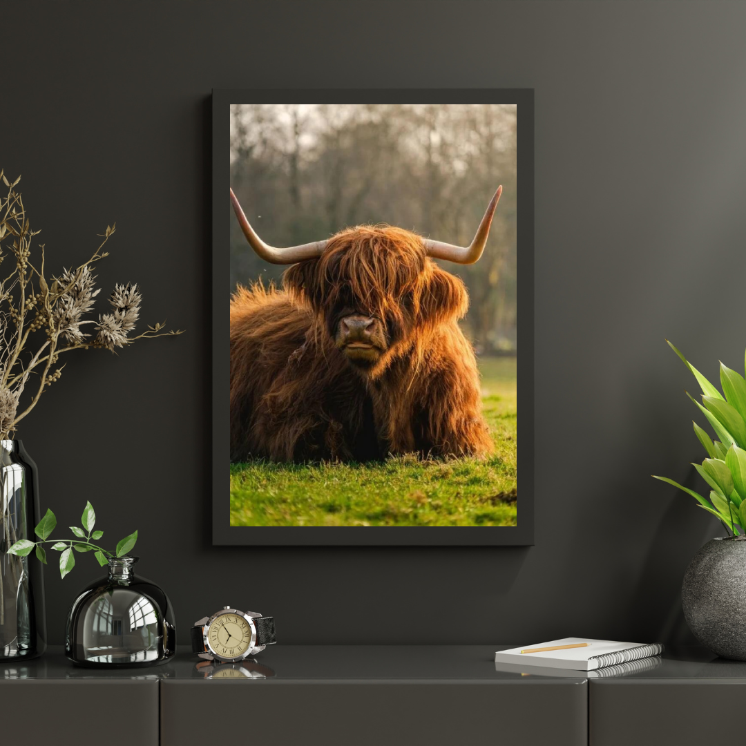 Diamond Painting Szkocki Highlander - Szkocka krowa Highlands z bliska - SEOS Shop ®