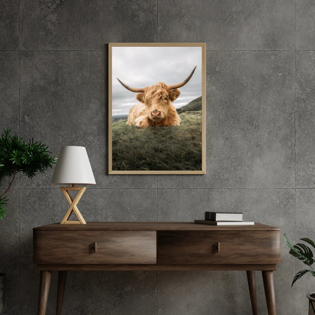Diamond Painting Szkocki highlander - Odważny szkocki highlander odpoczywający na równinie - SEOS Shop ®