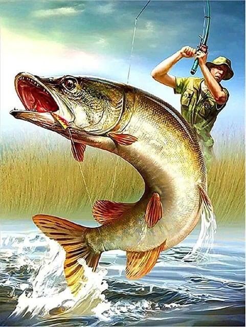 Diamond Painting Mężczyźni łowią ryby - SEOS Shop ®