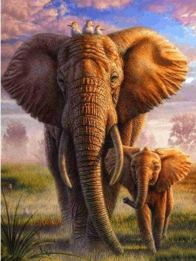 Diamond Painting Kolorowa Safari Słoń - SEOS Shop ®