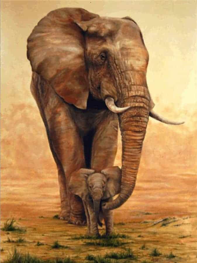 Diamond Painting Słoń z Cielakiem na Sawannie - SEOS Shop ®