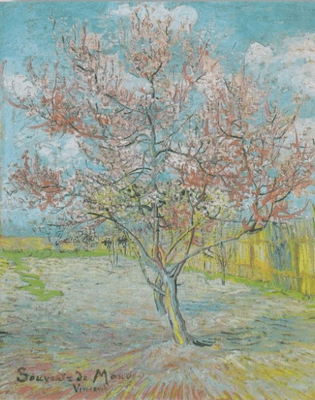 Diamond Painting Drzewo brzoskwiniowe - SEOS Shop ®