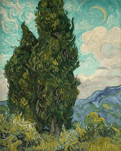 Diamond Painting Cyprysy - SEOS Shop ®