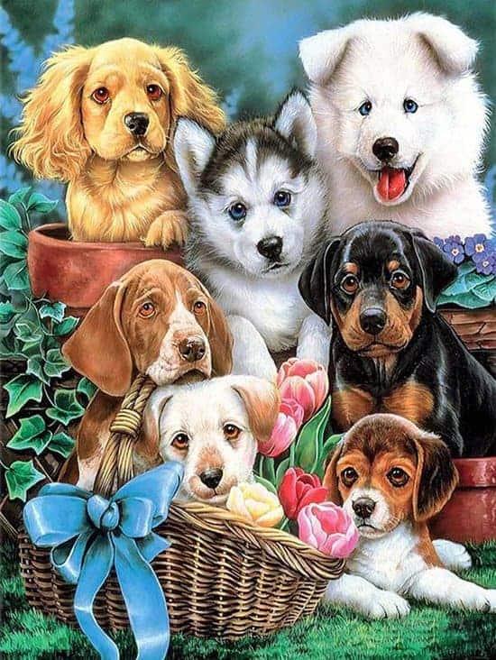 Diamond Painting Urocze Szczeniaki - SEOS Shop ®