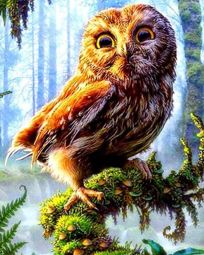 Diamond Painting Mały Sówka - SEOS Shop ®
