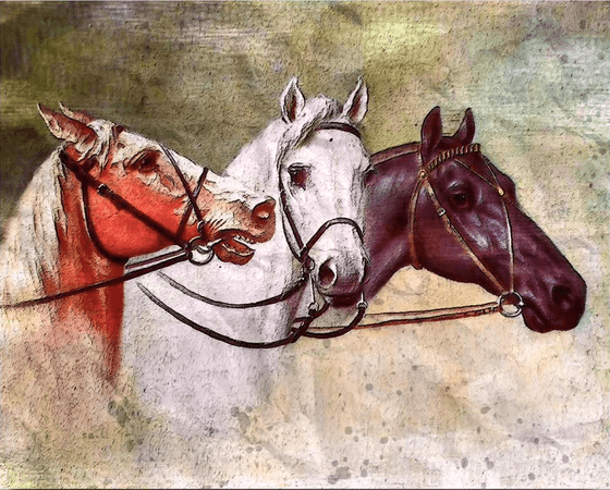 Diamond Painting - Trzy Konie - SEOS®