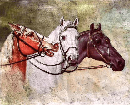 Diamond Painting - Trzy Konie - SEOS®