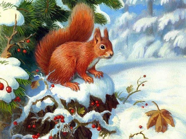 Diamond Painting Wiewiórka z owocami wiśni - SEOS Shop ®