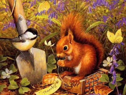 Diamond Painting Wiewiórka z ptakiem - SEOS Shop ®