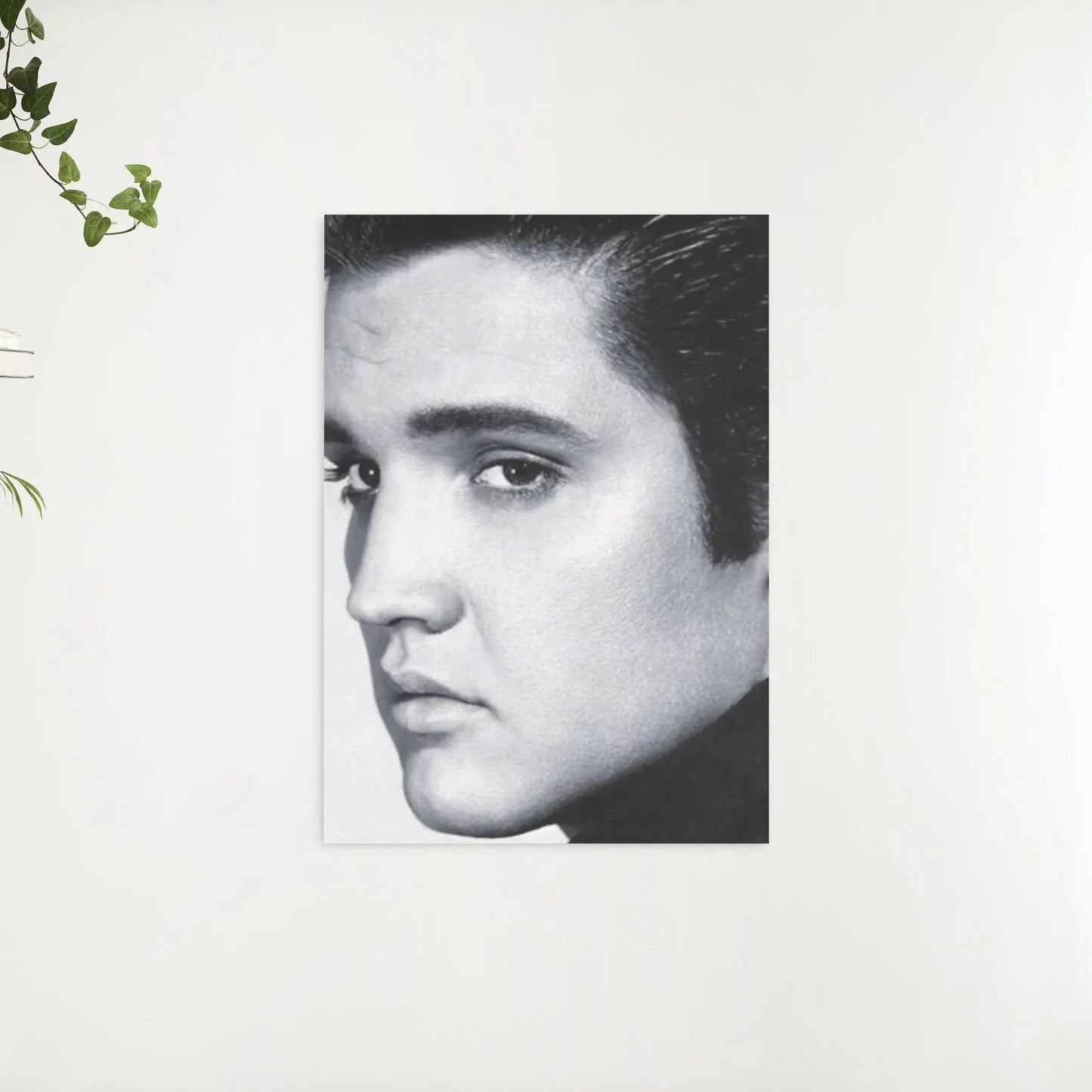 Diamond Painting Elvis Presley w czerni i bieli - SEOS Shop ®