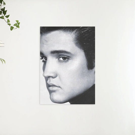 Diamond Painting Elvis Presley w czerni i bieli - SEOS Shop ®