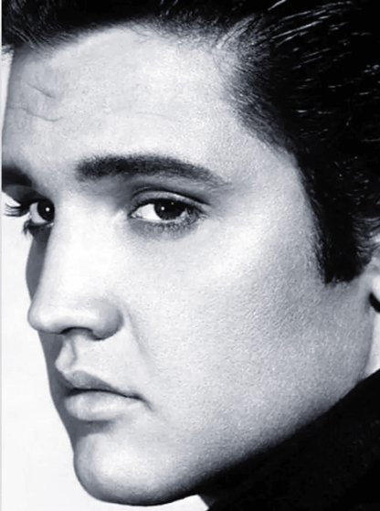 Diamond Painting Elvis Presley w czerni i bieli - SEOS Shop ®